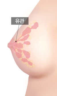 유관 유지