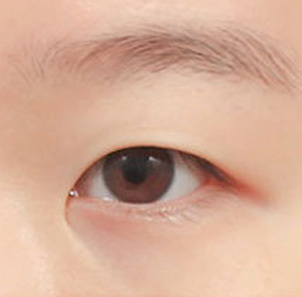 선호도에 따라 라인 디자인