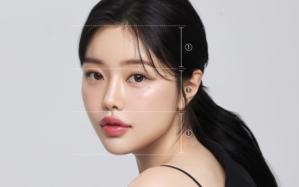 이상적인 안면윤곽을 표현한 여성 모델