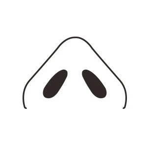 미세하게 절개 된 부위에 삽입