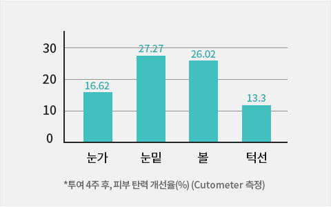 피부 탄력도