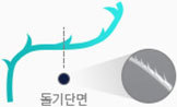 울트라
