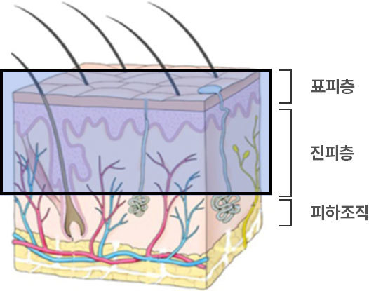 콘텐츠이미지